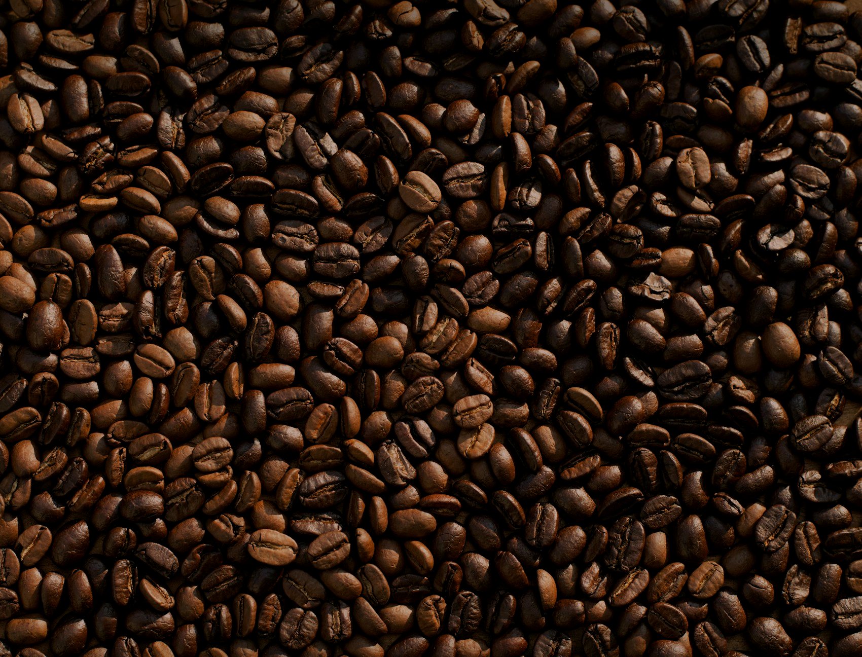 Macro photograph of freshly roasted coffee beans
