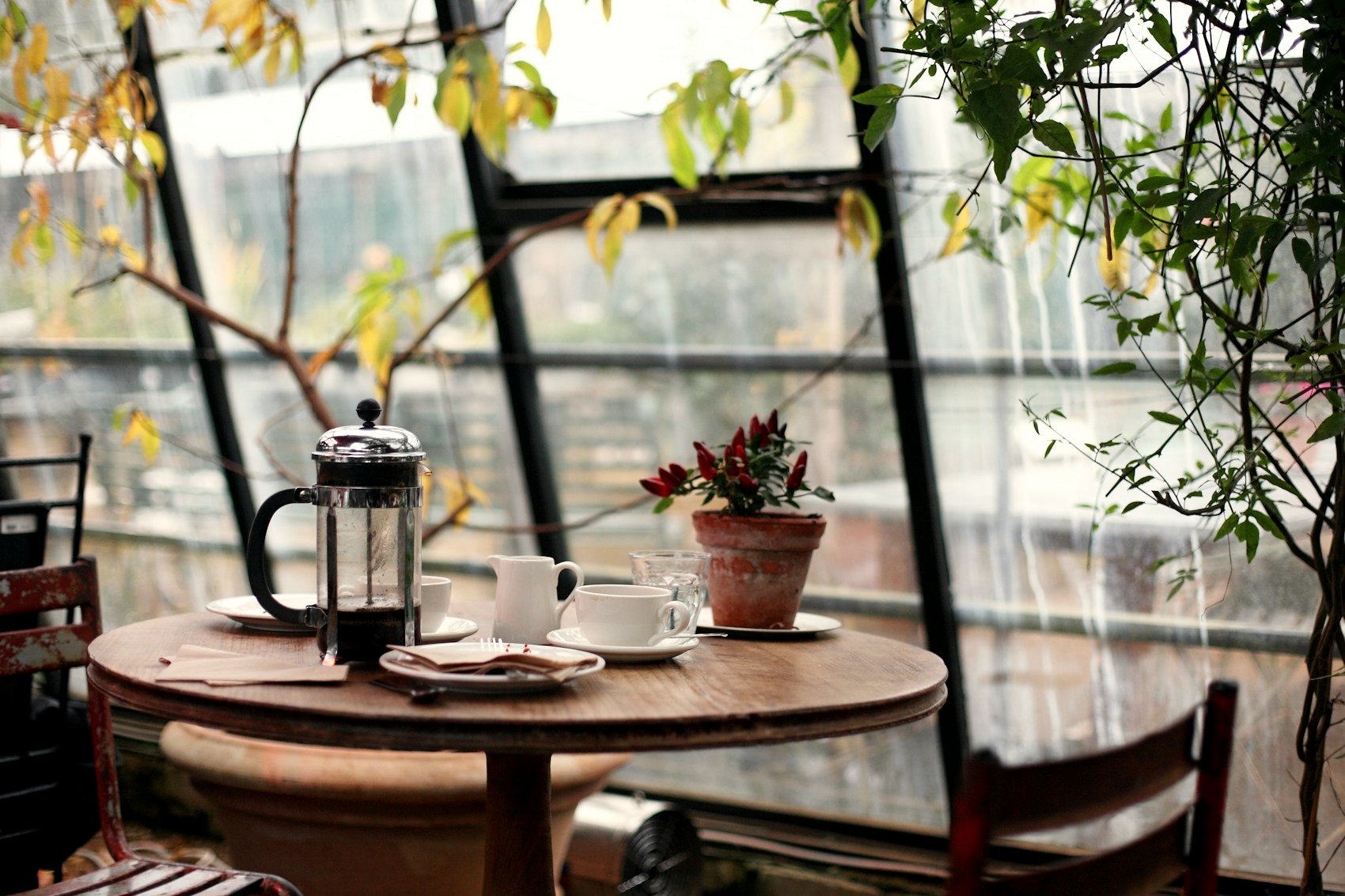 Chemex and cup on a cafe table with plants and window light